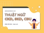 THUẬT NGỮ XE TẢI "XE CKD "- "XE SKD" - "XE CBU" LÀ GÌ?