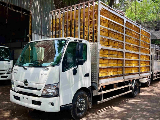 Xe tải Hino 5 tấn chuyên chở gia cầm 256 lồng  – Sự lựa chọn tuyệt vời cho doanh nghiệp của bạn